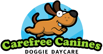 Doggie Daycare Burnaby BC